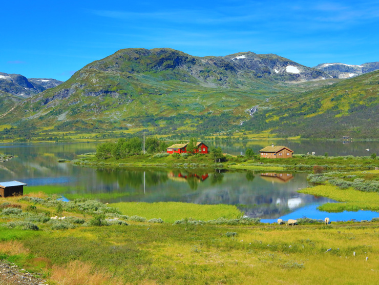 Norvège - Les fjords