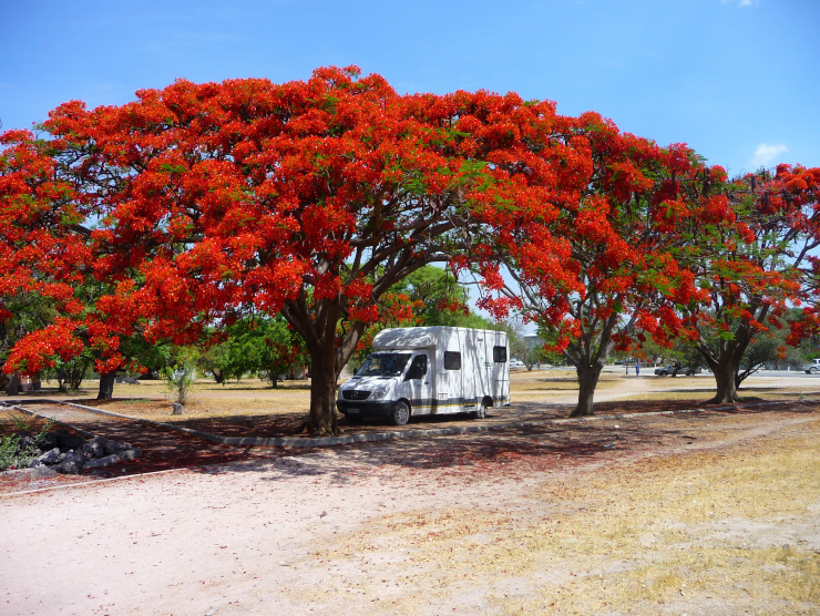 Afrique Australe