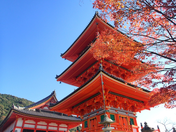 Circuit de 15 jours au Japon